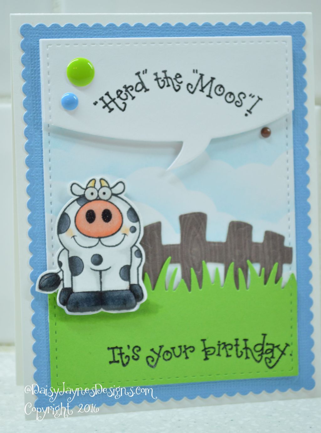 Have you Herd the&nbsp;Moos!