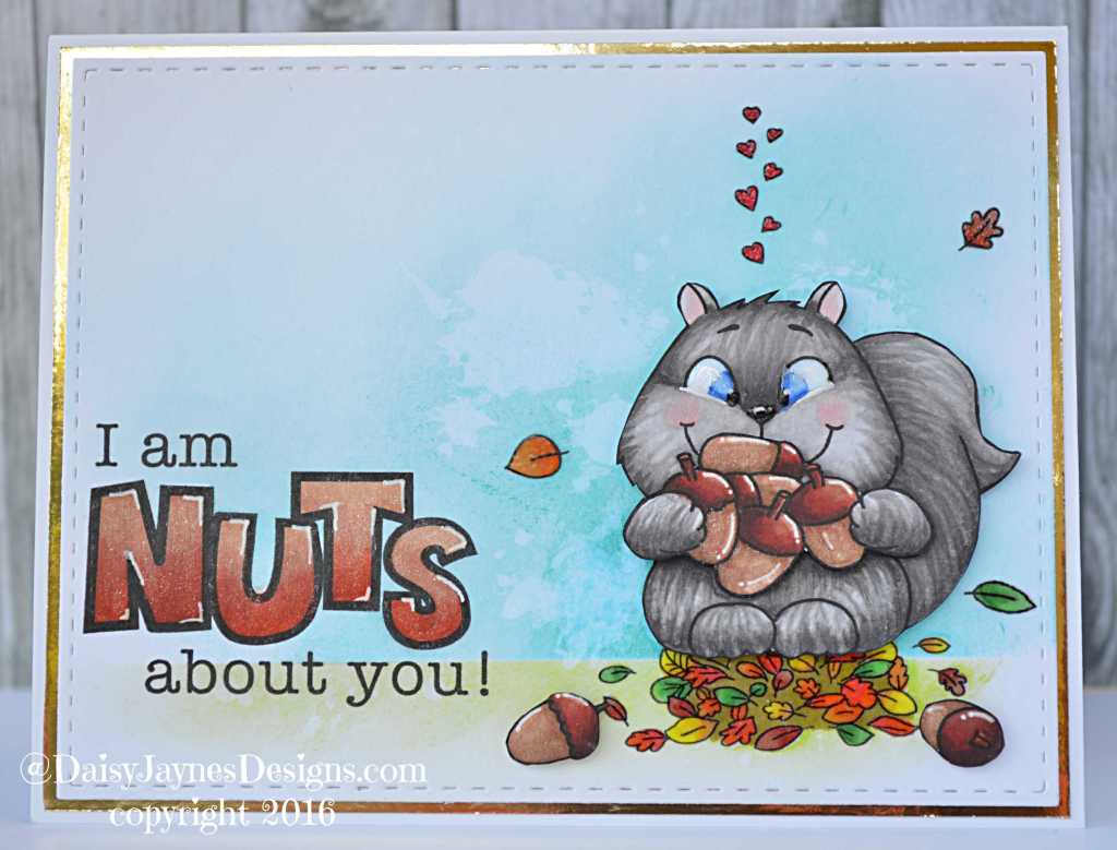 Dogs, cats, squirrels and bears…Oh&nbsp;my!