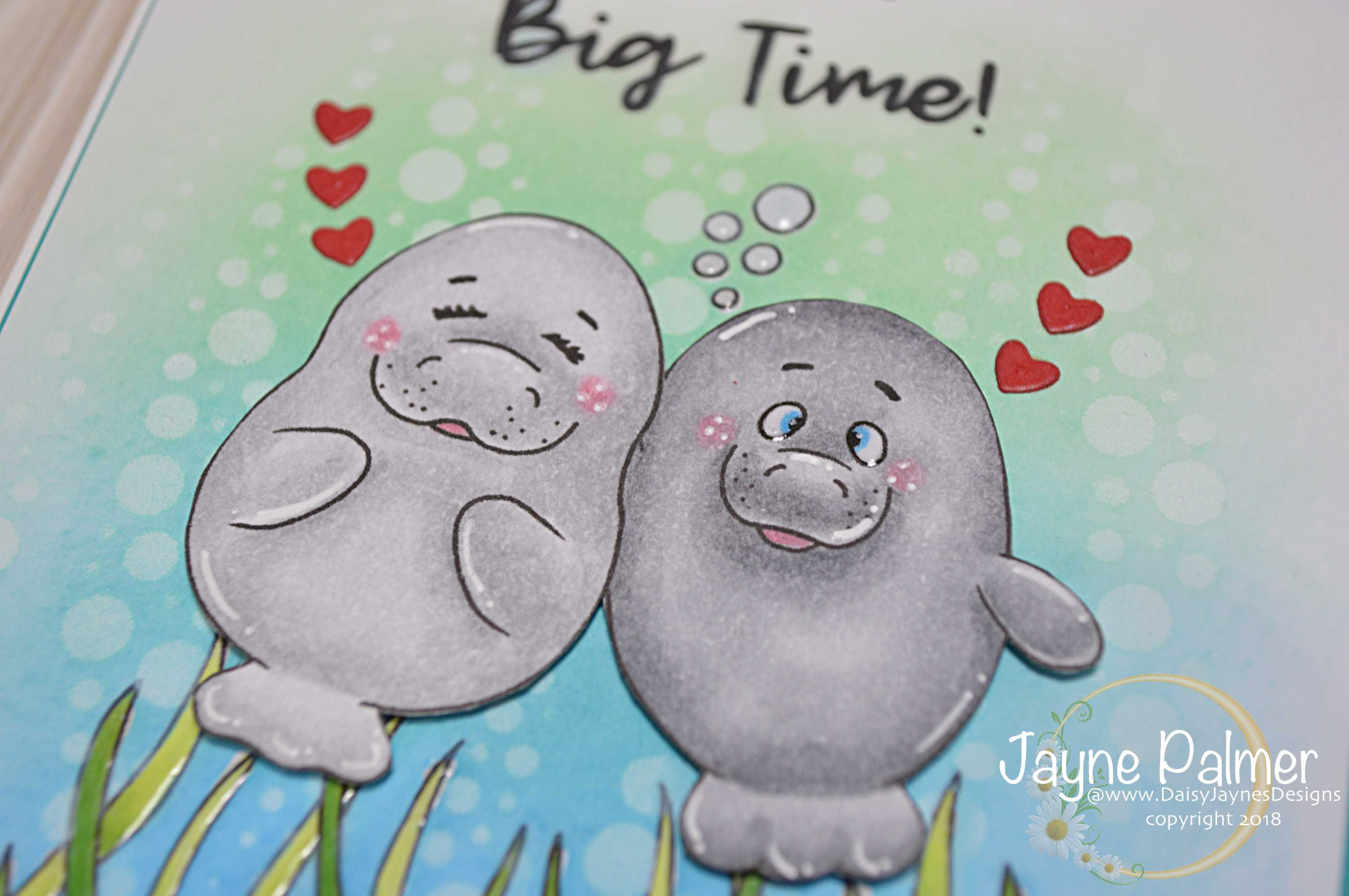 gsd dt manatee close up