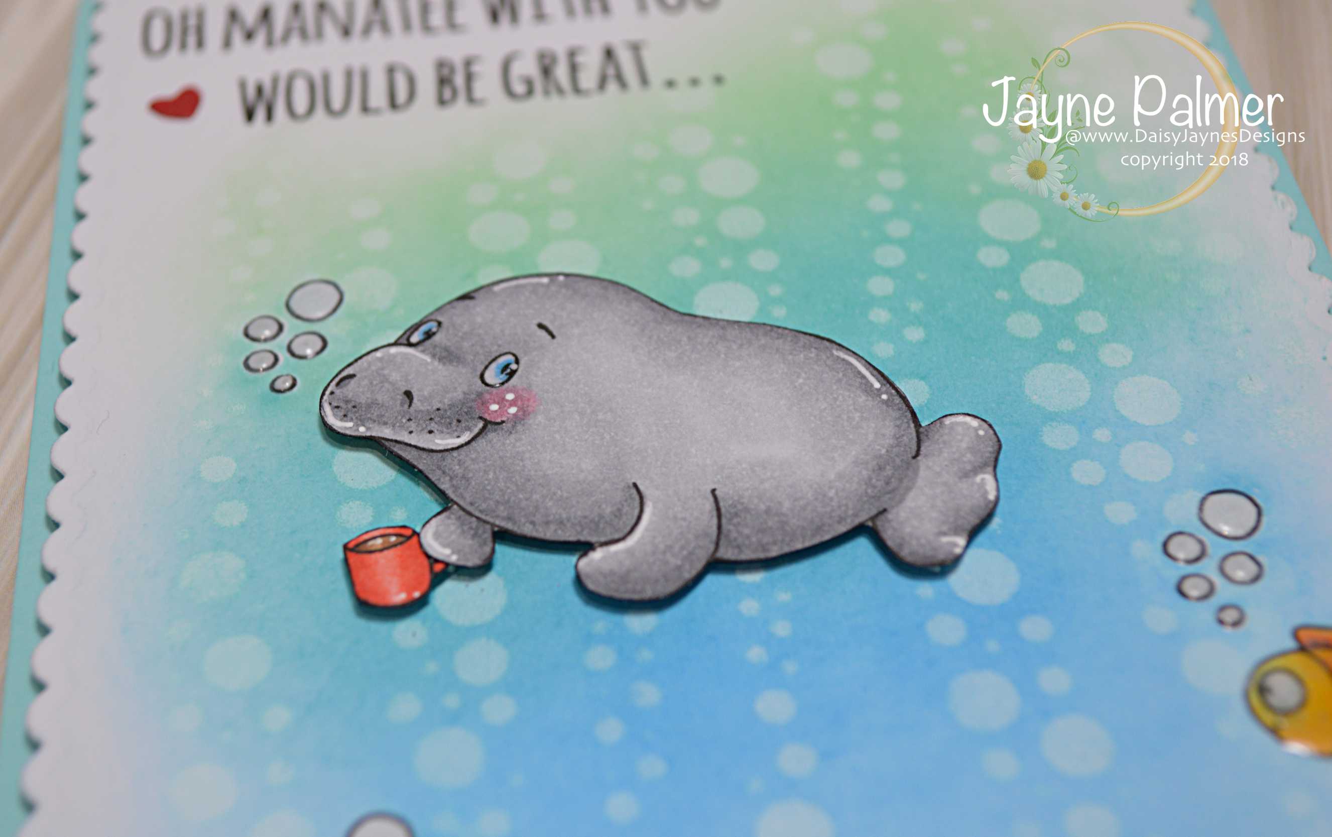 gsd dt manatee coffee close up