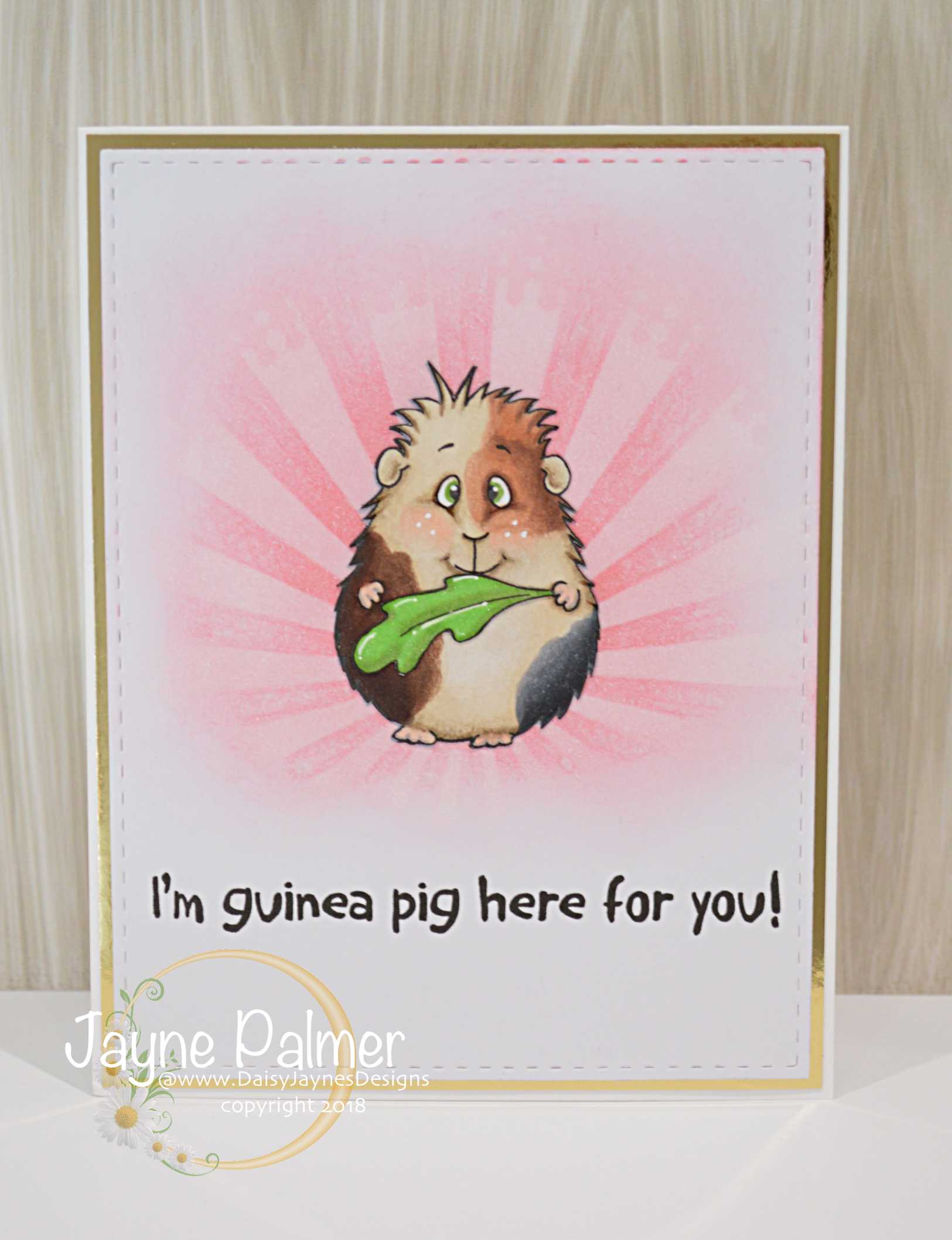 gsd dt here for you close up